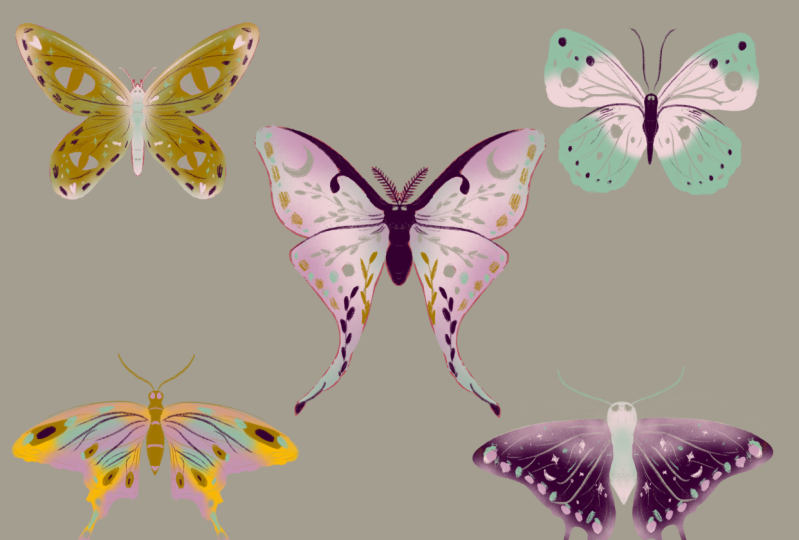 Butterfly mini gallery exercise
