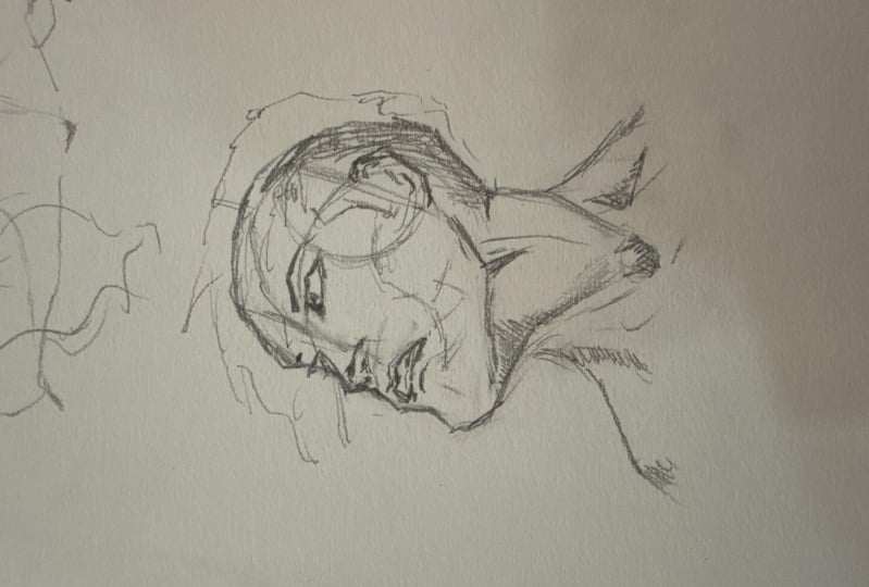 Expressive Male Face