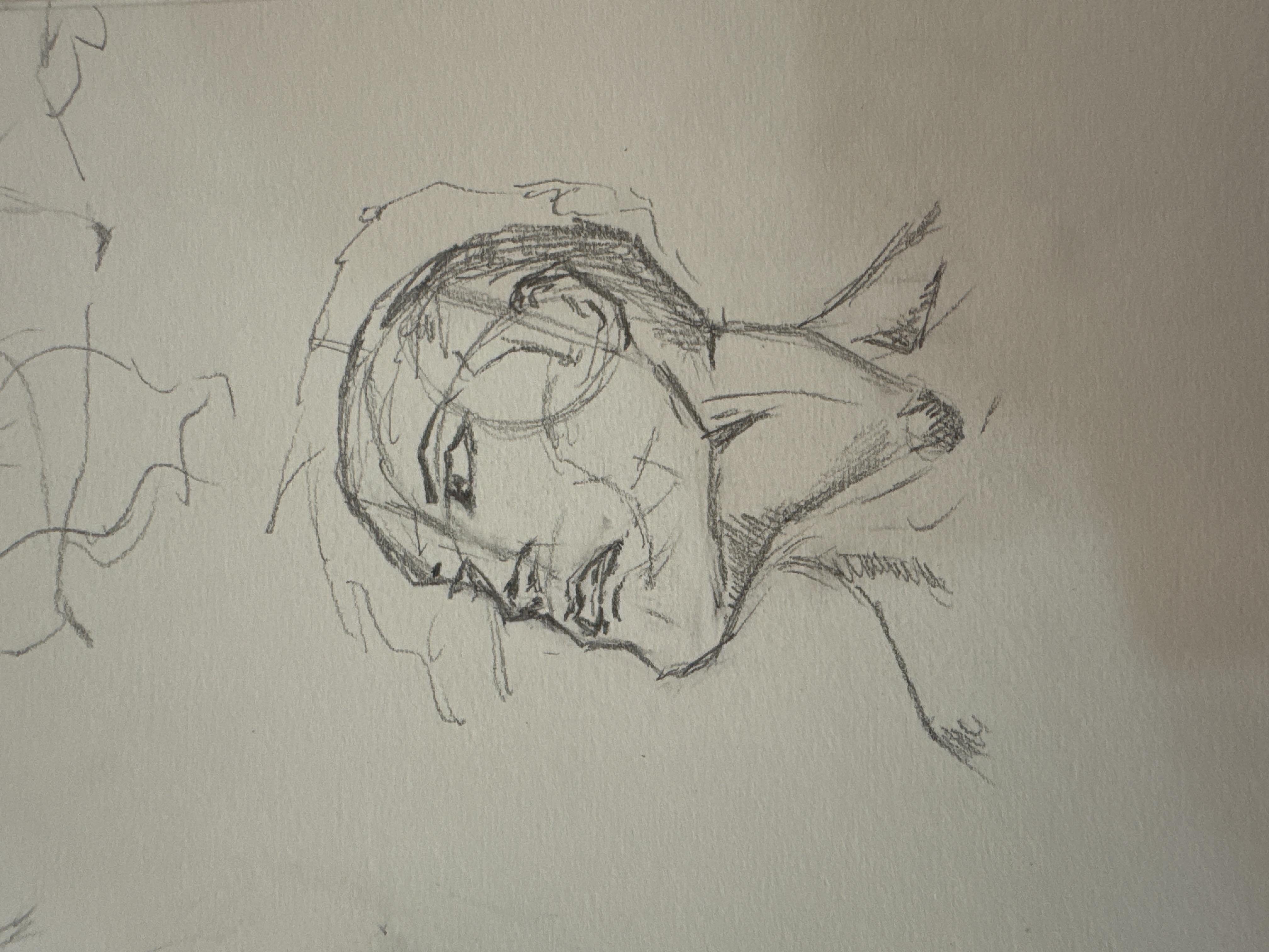 Expressive Male Face - student project