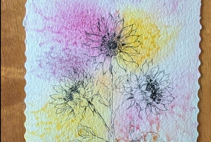 Sunflower Sketch