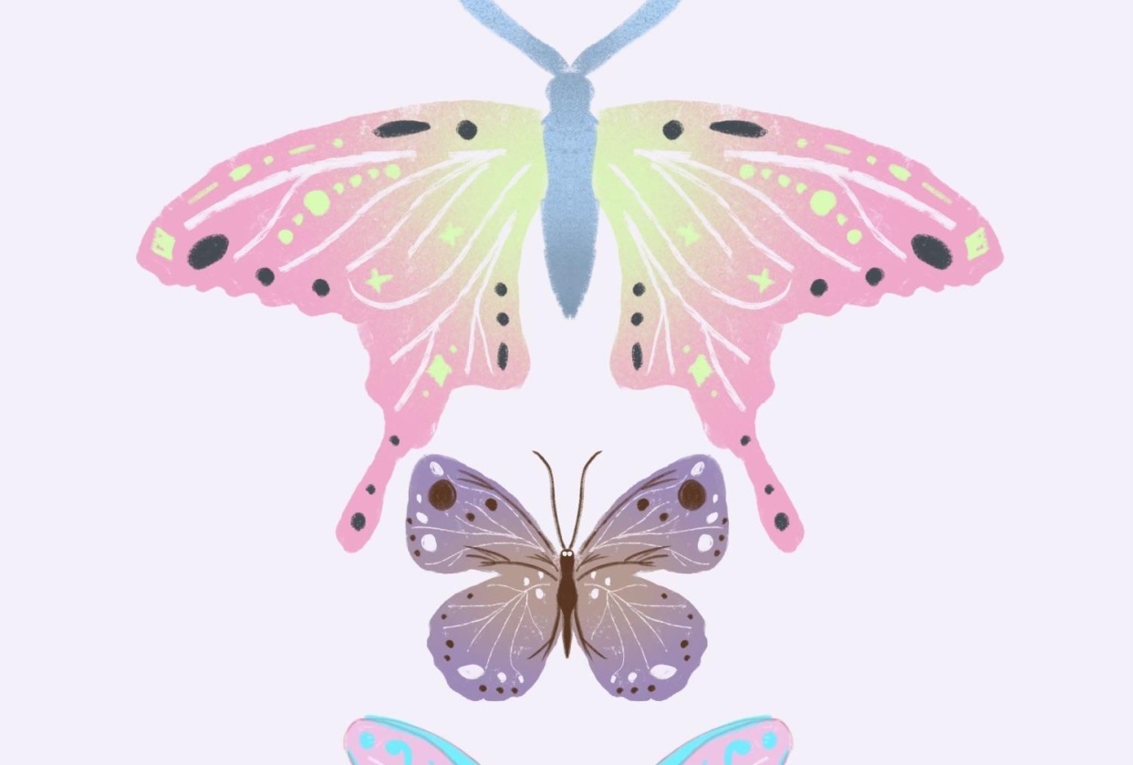 Butterflies - student project