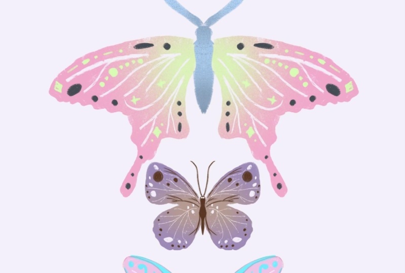 Butterflies