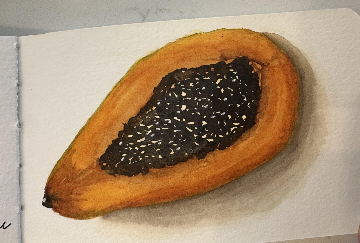 Nhami Papaya - student project