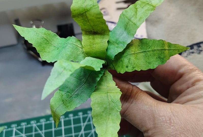Plant