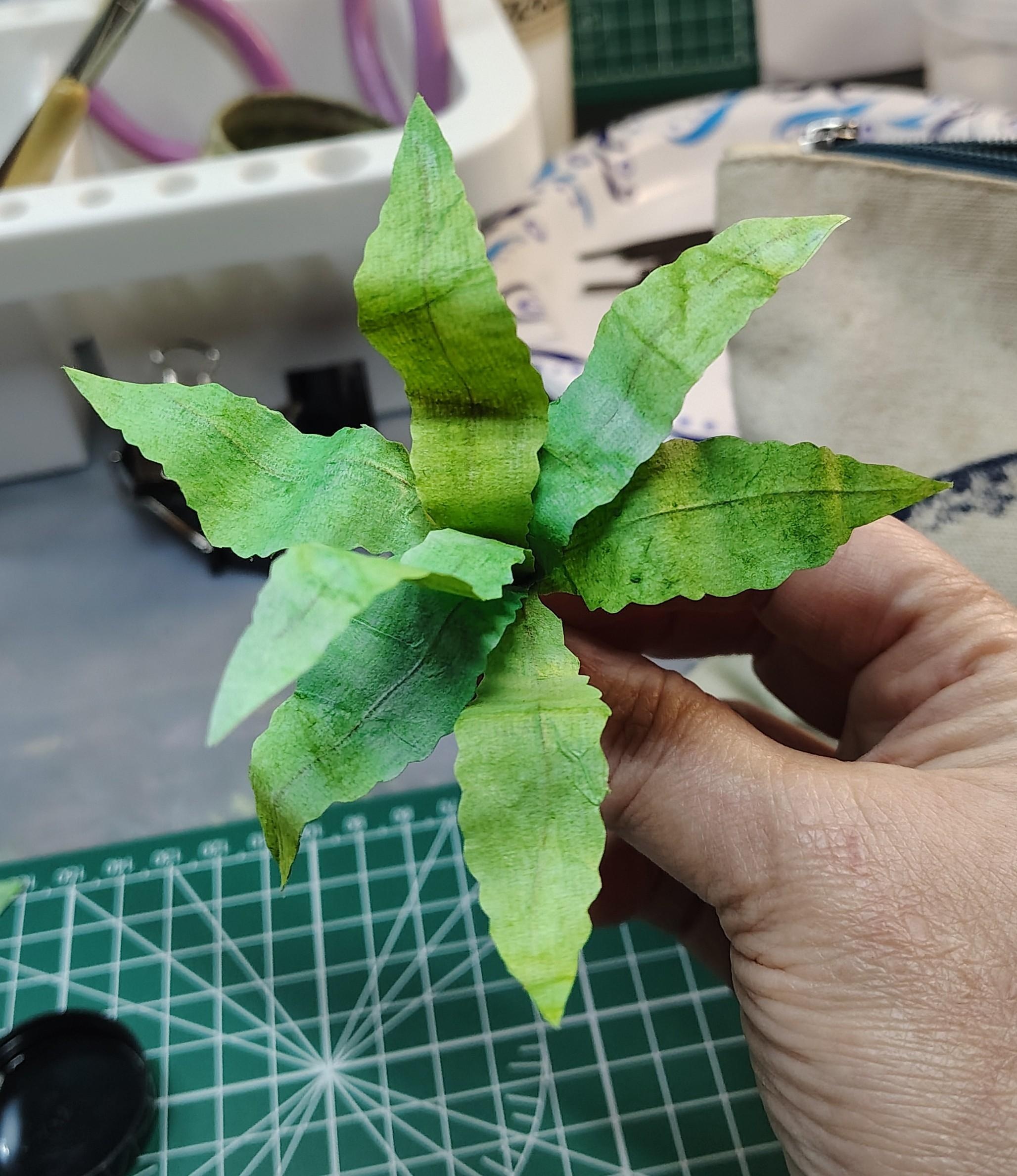 Plant - student project