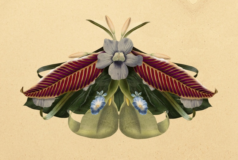 Learn Digital Creatures with Photoshop