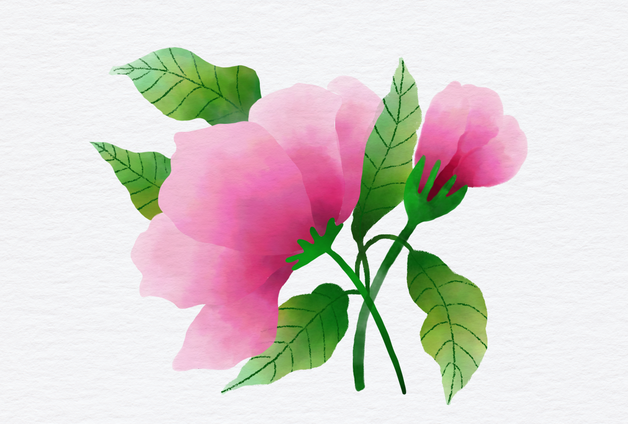 Watercolour flower - student project