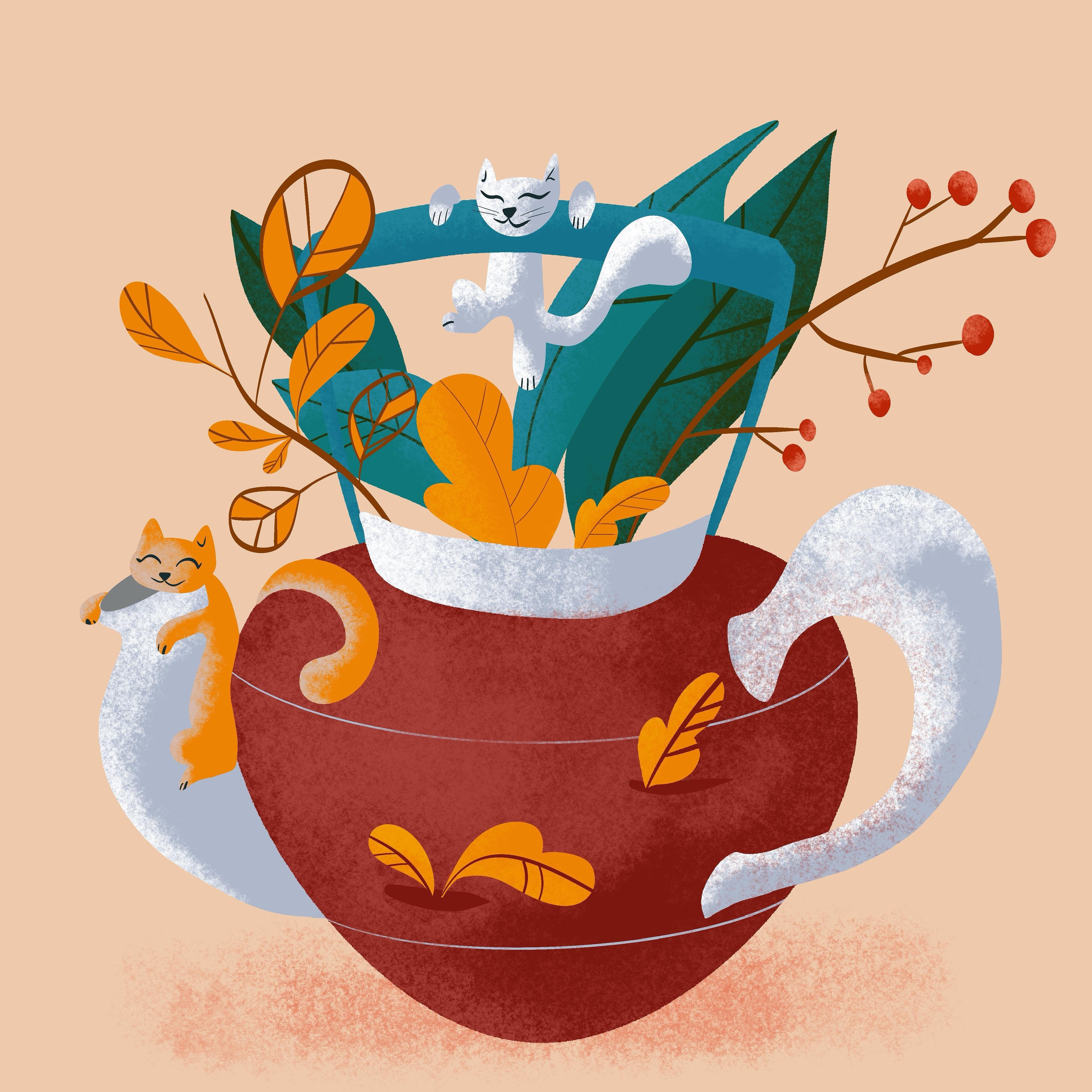 more-projects-from-class-img