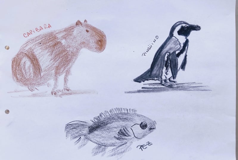 Capture the Essence: Loose Sketching with Shapes