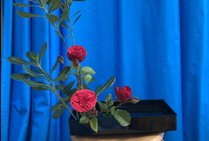 Ikebana at Volkshochschule München