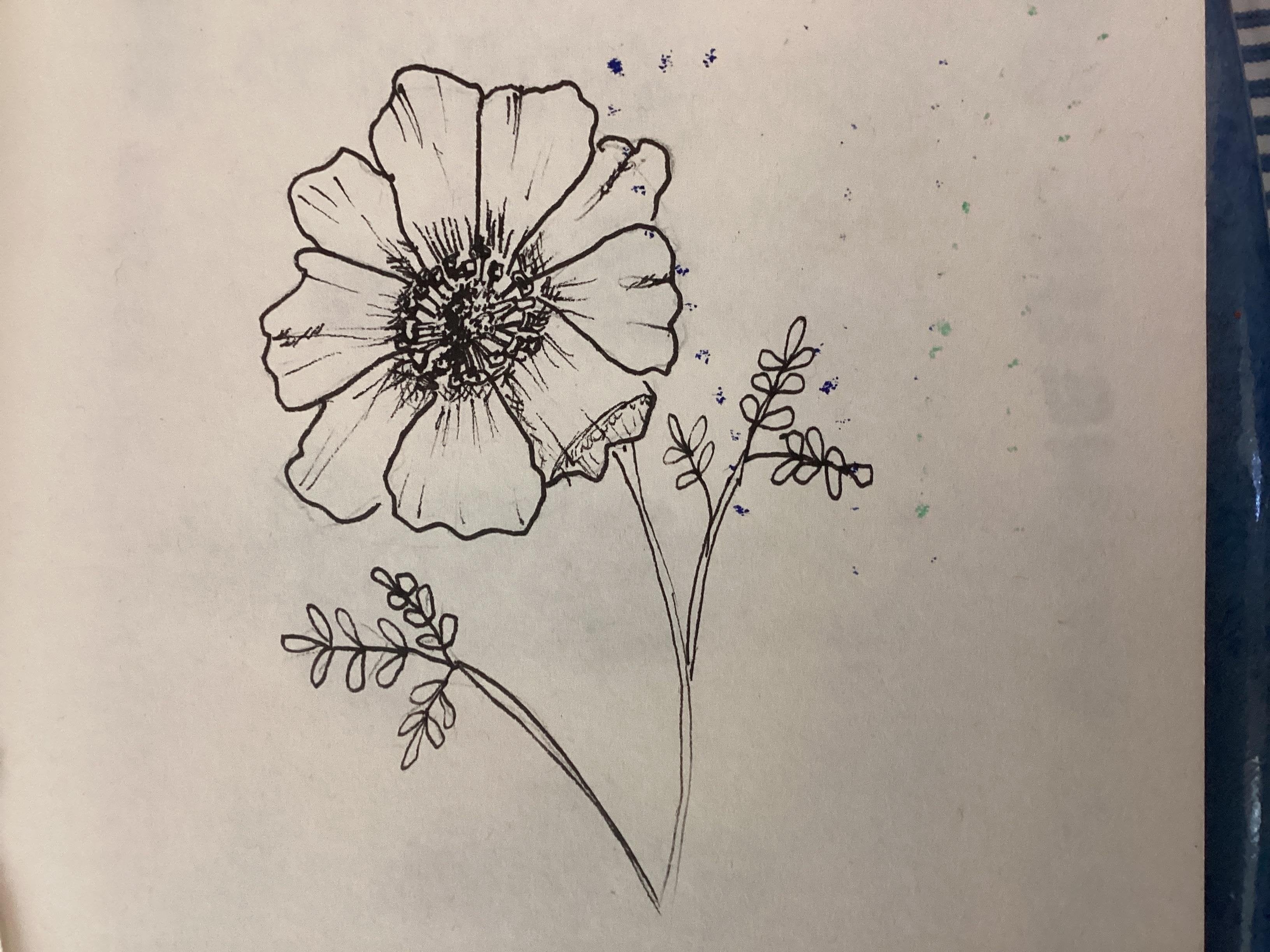 more-projects-from-class-img