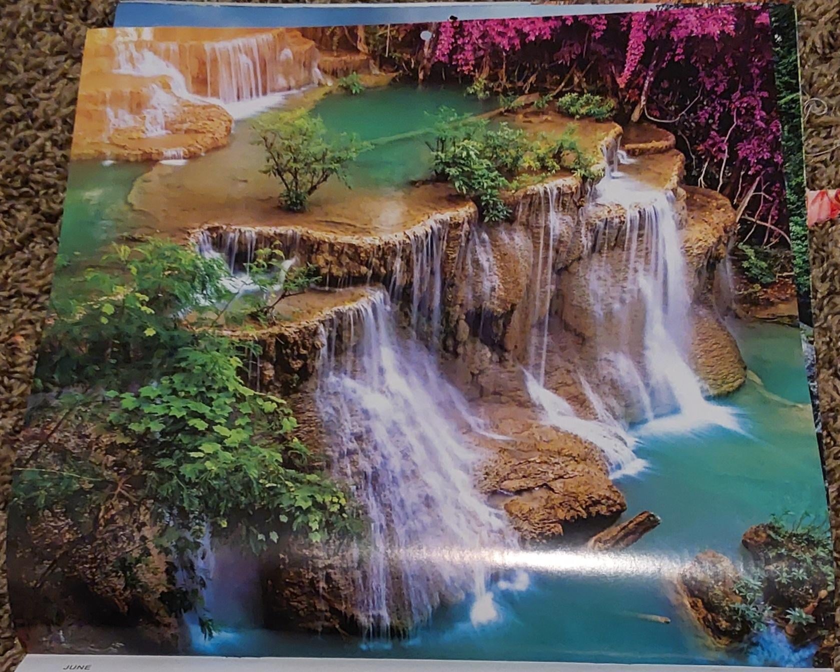 The Forested lands rule book. .. for now - student project