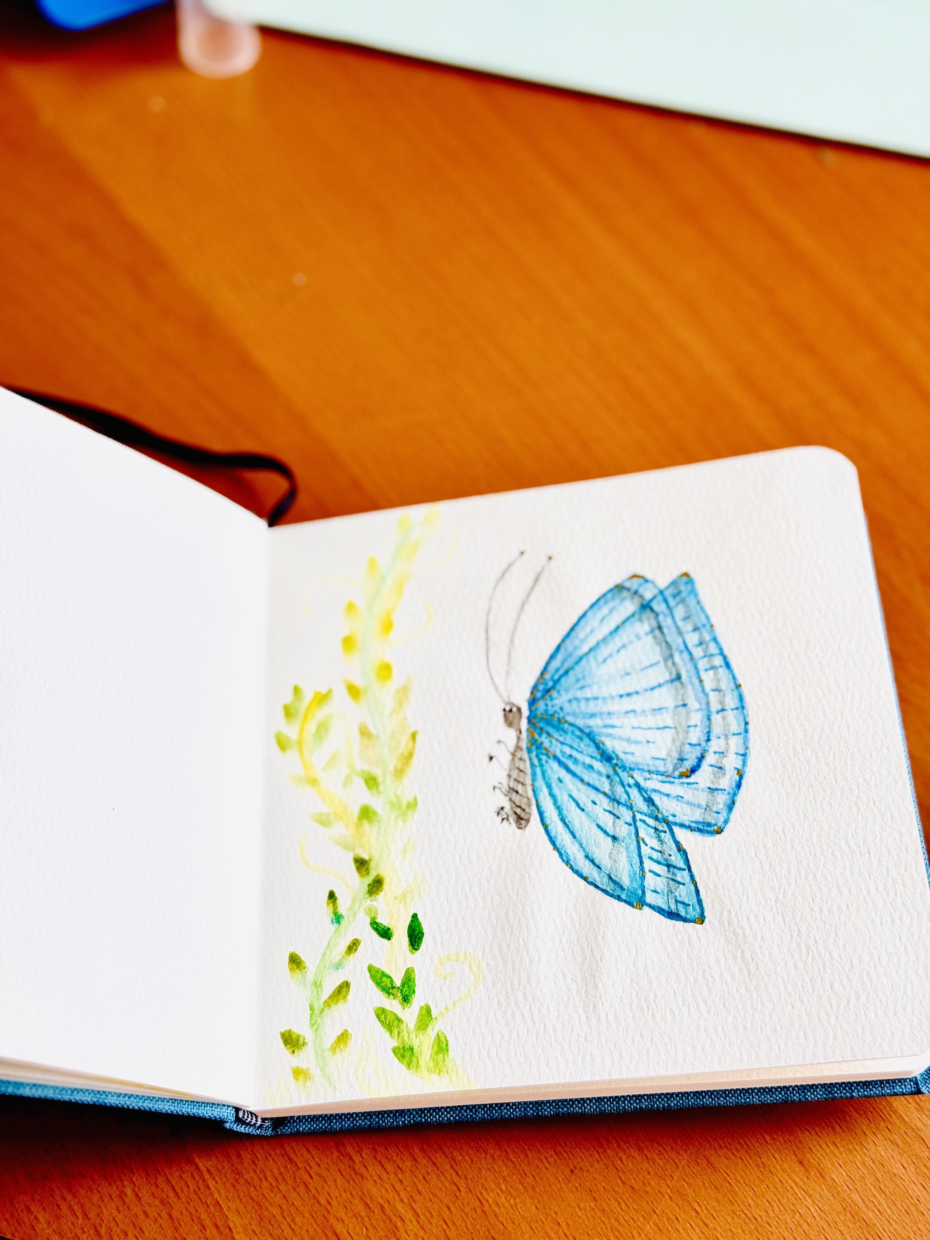 more-projects-from-class-img
