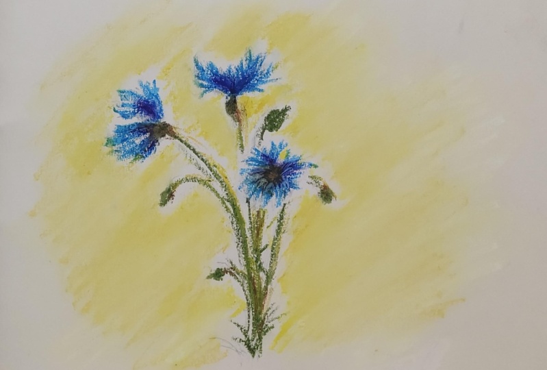 Oil Pastel Cornflowers