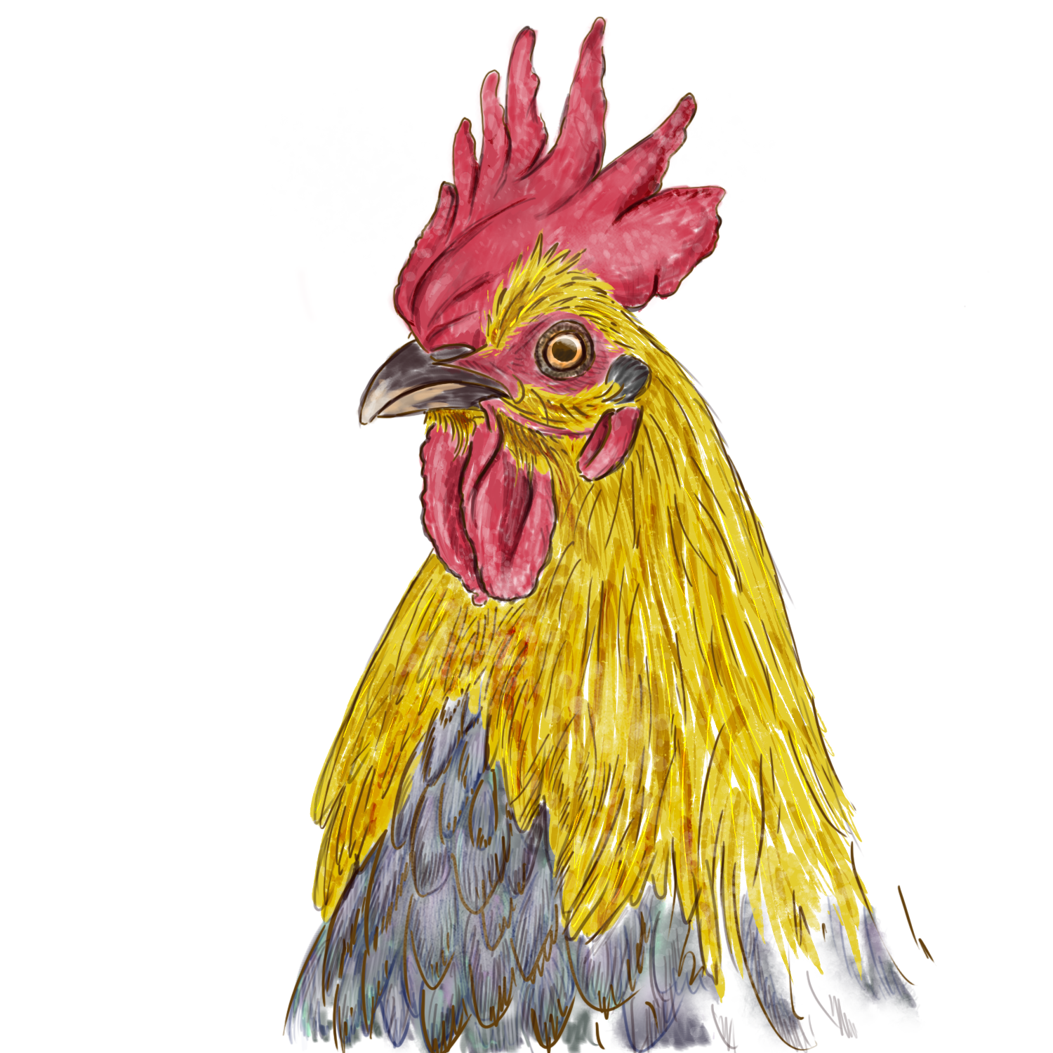 #1 - student project