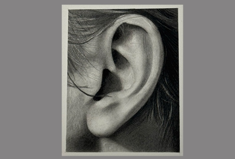 Hyperrealistic ears in graphite