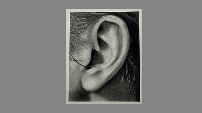 Hyperrealistic ears in graphite - student project