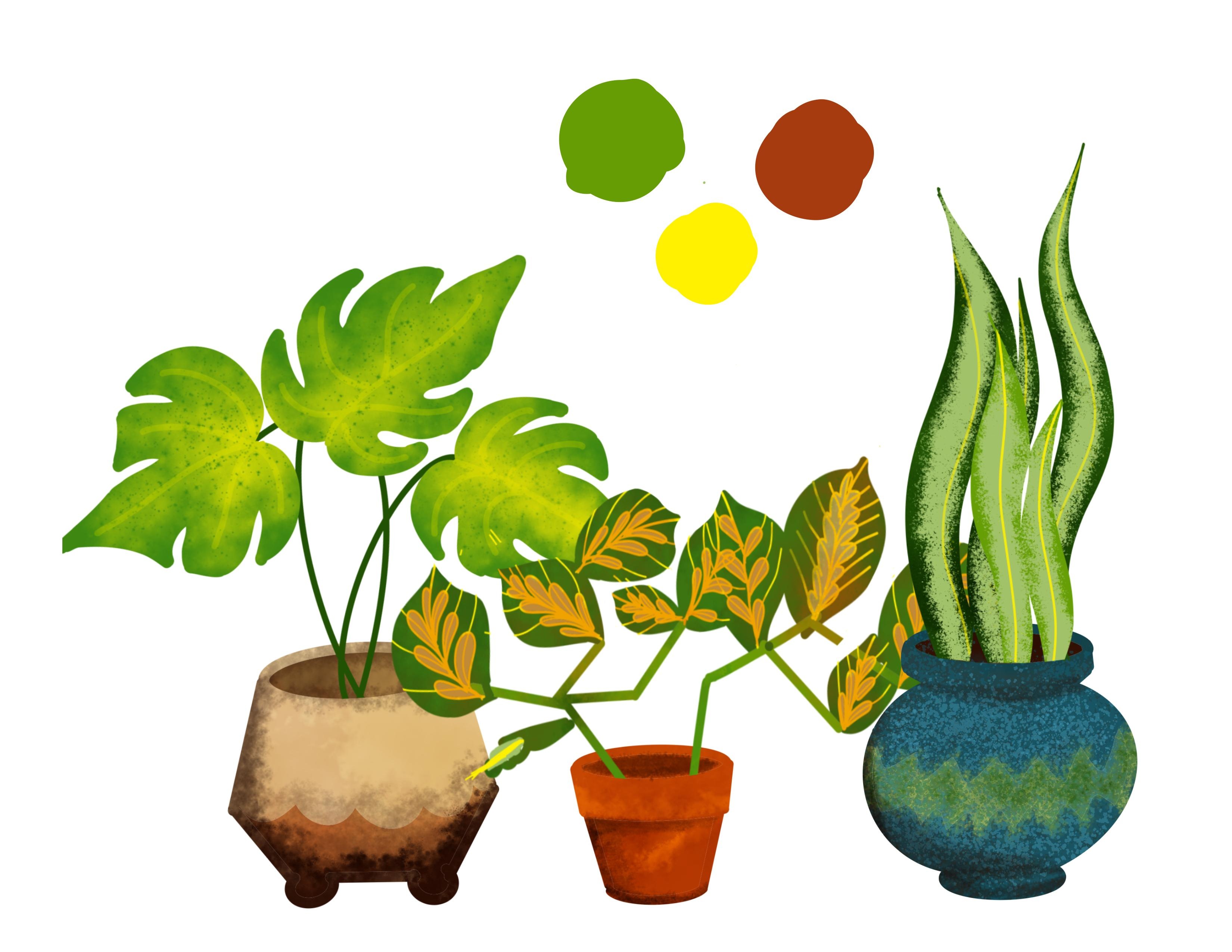 more-projects-from-class-img
