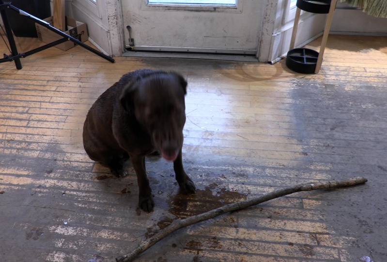 SADIE'S BROOM