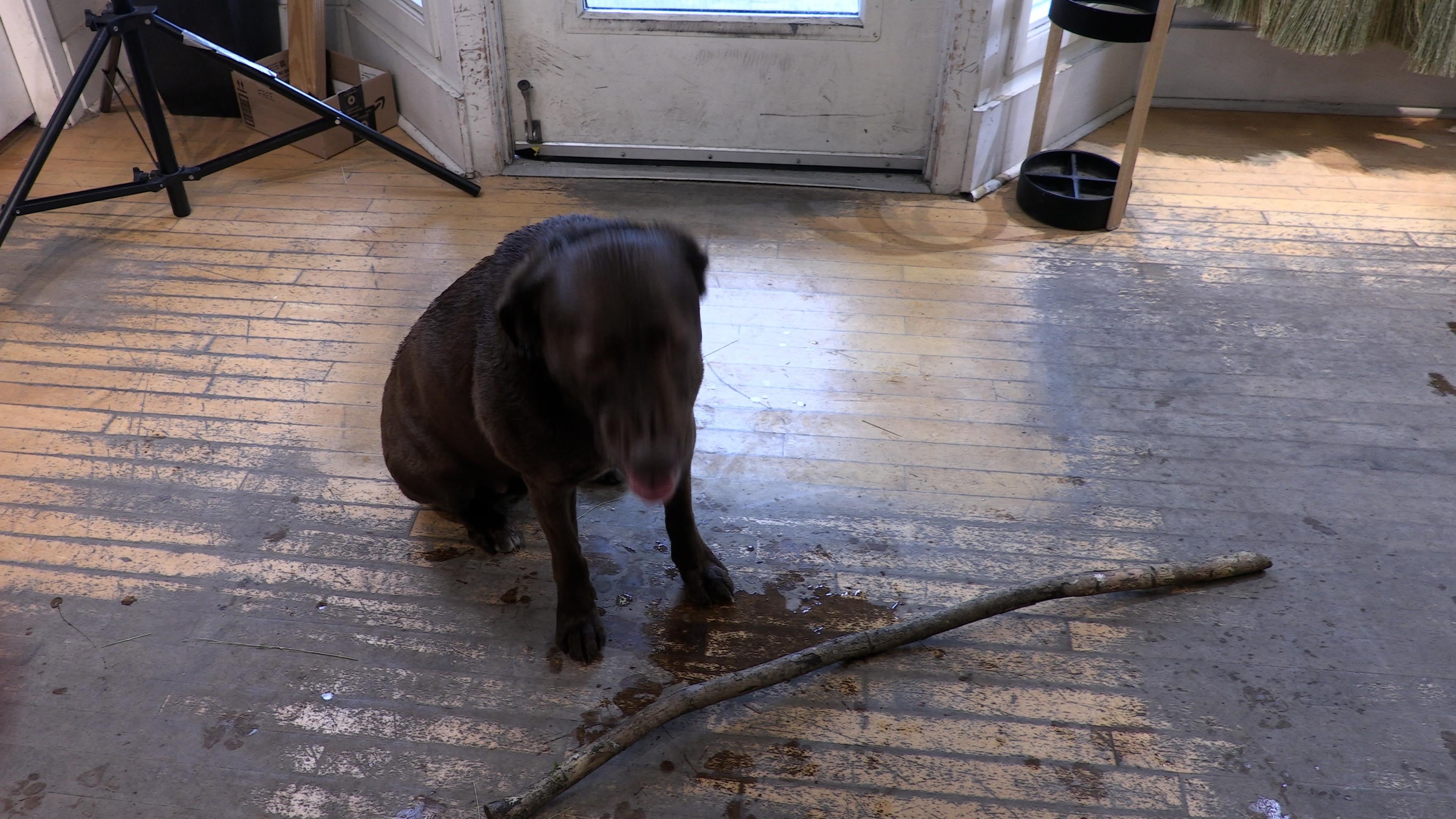 SADIE'S BROOM - student project