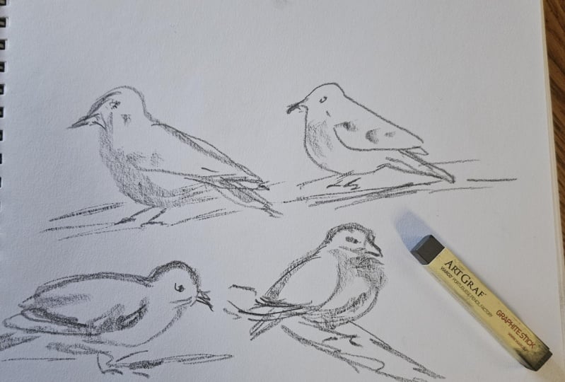 Loose sketching -stick graphite