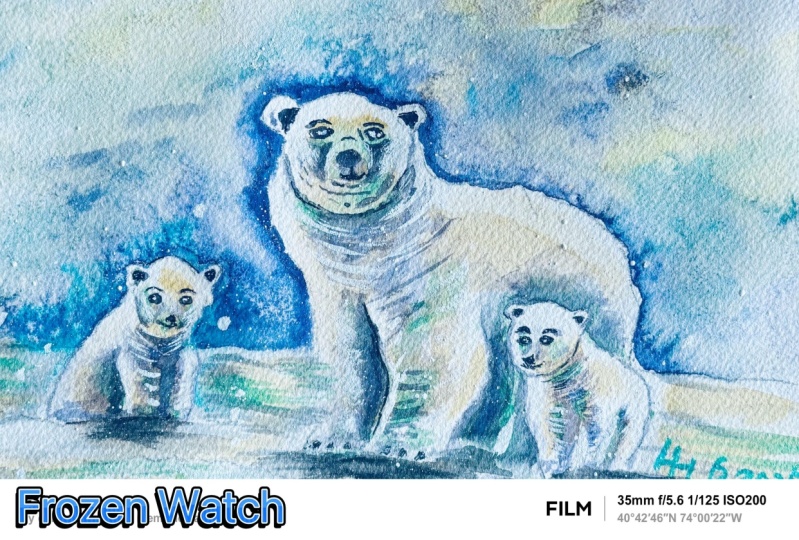 Frozen Watch