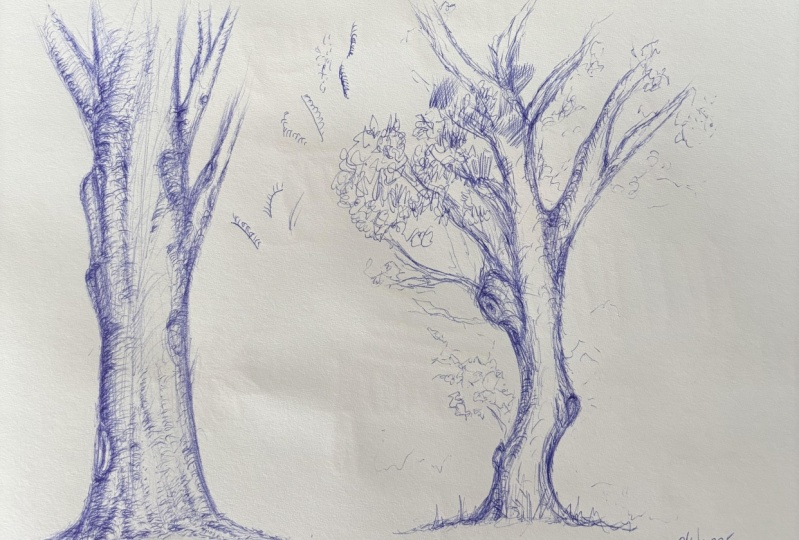 Tree from imagination