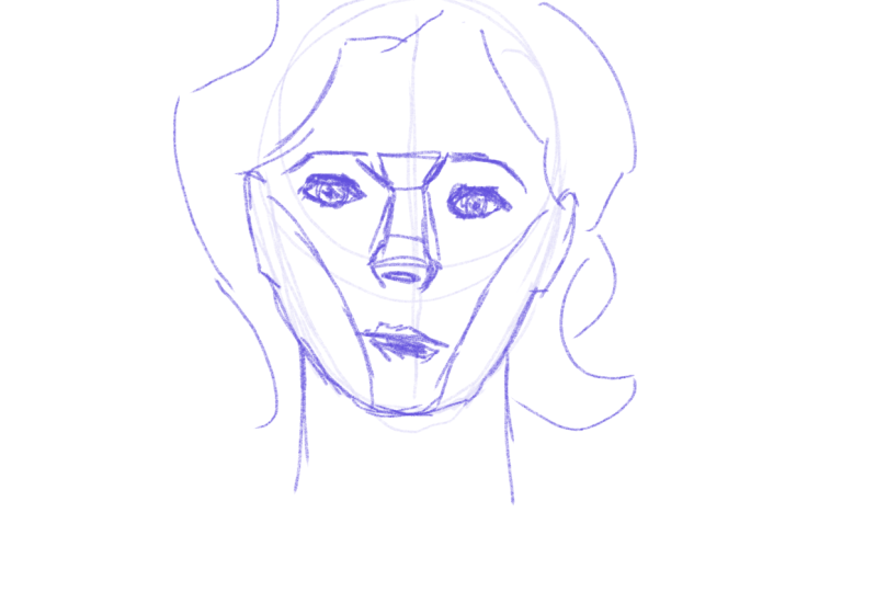 Sketches face structure