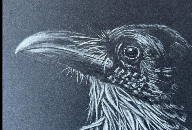 Raven
