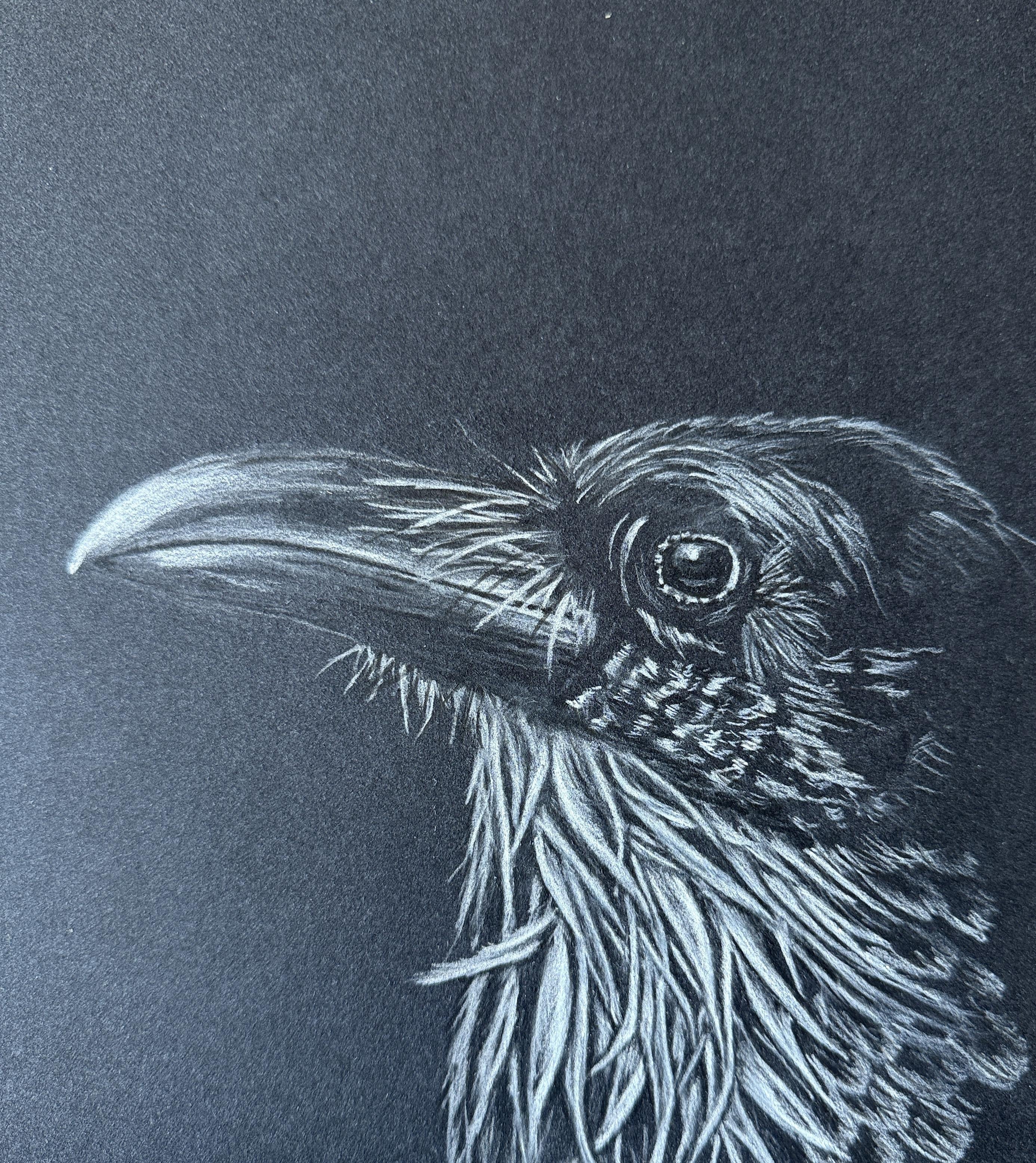 Raven