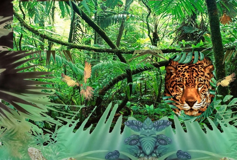 jungle