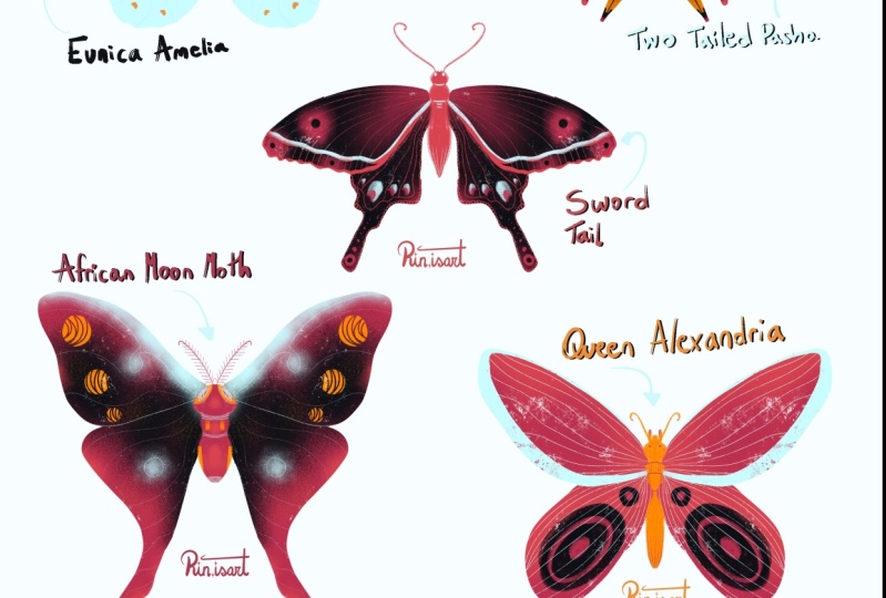 My Butterfly Mini Gallery :)