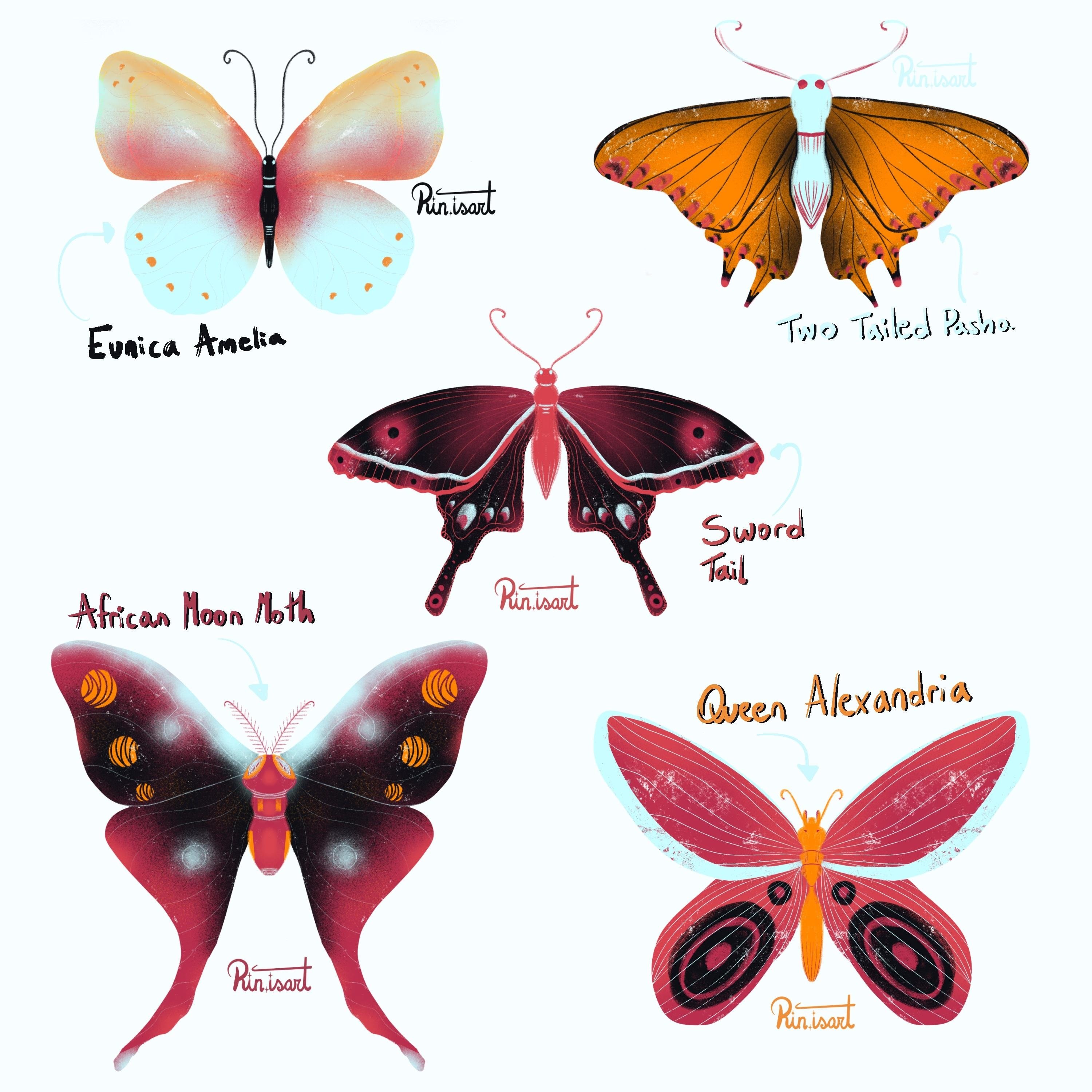 more-projects-from-class-img