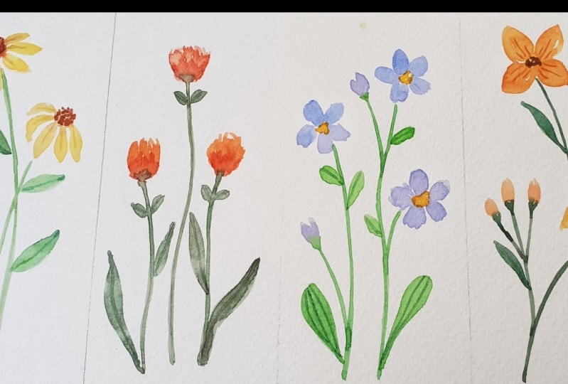 Spring flowers