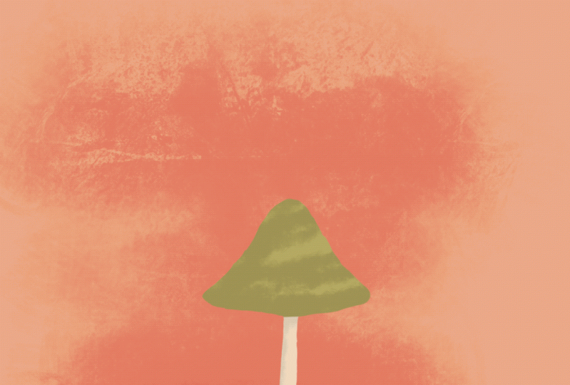 Mushroom