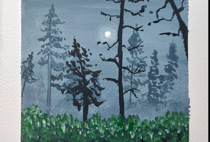foggy forest