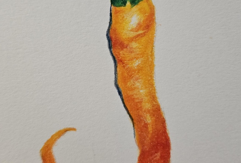 Chili in pencil