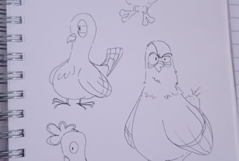 dibujo de aves