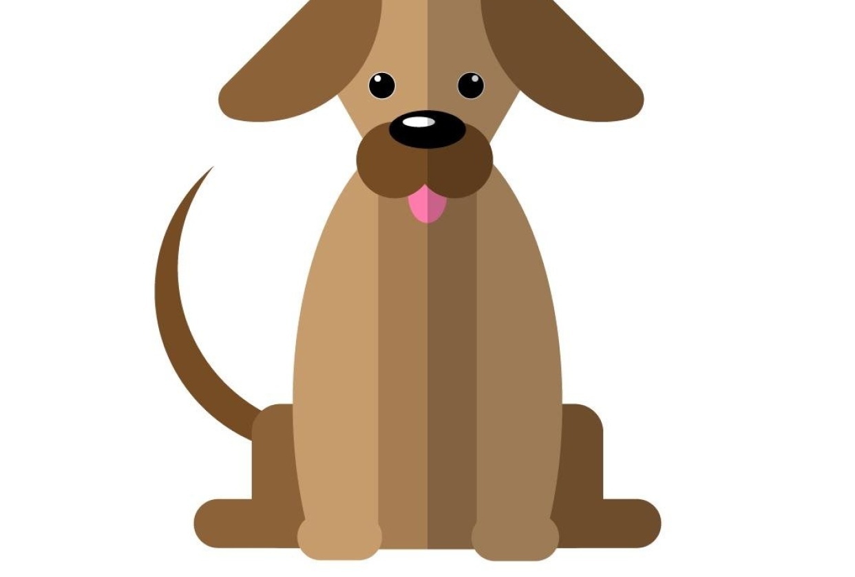 Puppy - student project