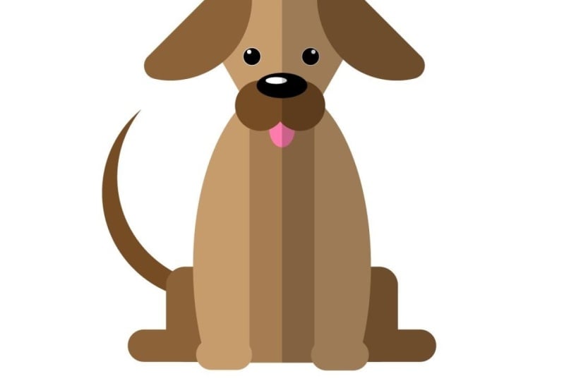 Puppy
