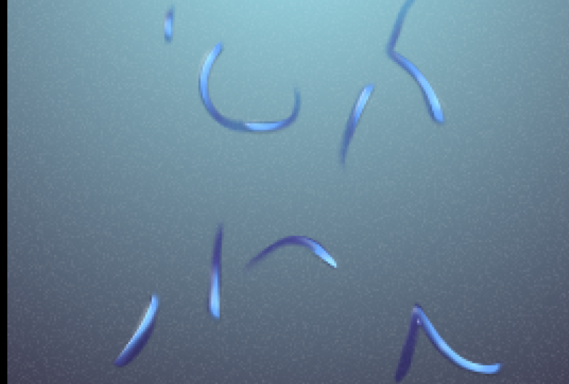 Project - Text Reveal