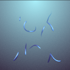 more-projects-from-class-img