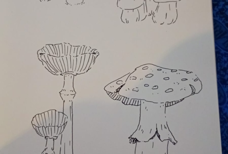 dibujos hongos