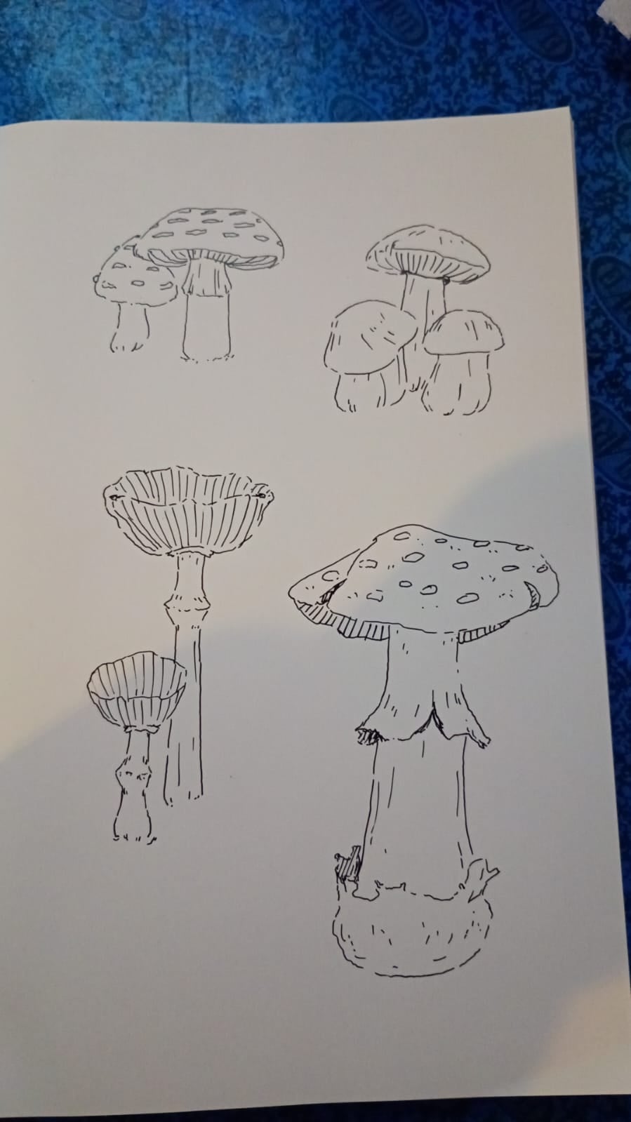more-projects-from-class-img
