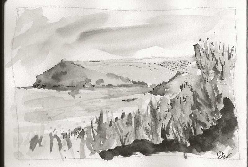 Landscapes