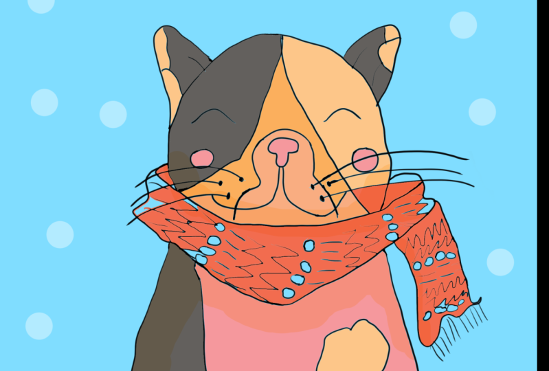 cat