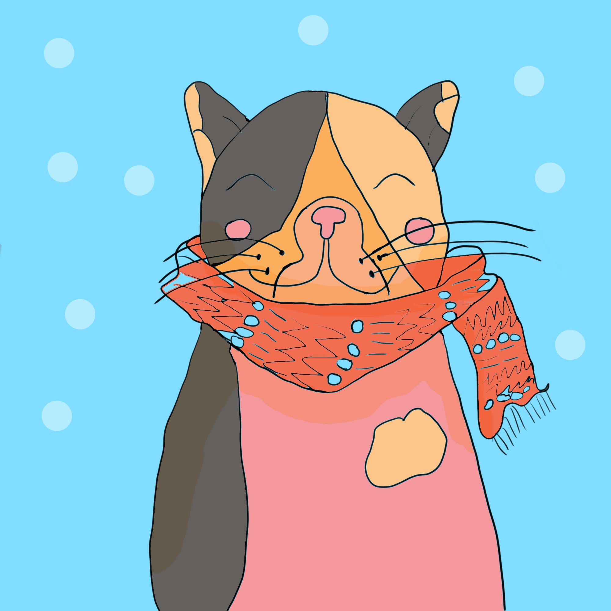 cat - student project