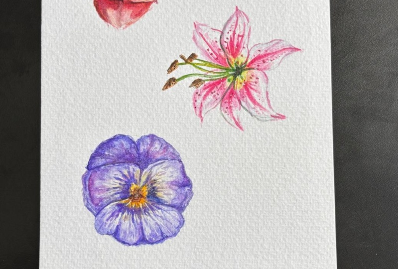 Lily flower