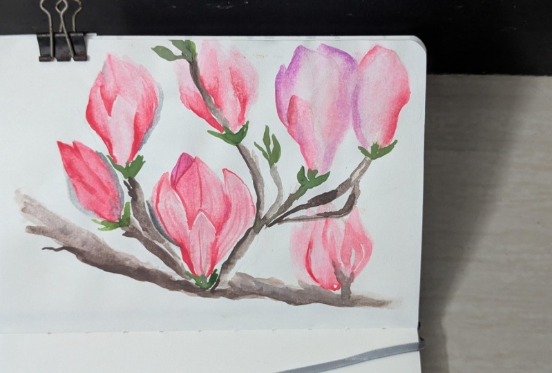 Watercolour Magnolias: Learn Soft Blending, Lifting, and Dry Brush Techniques