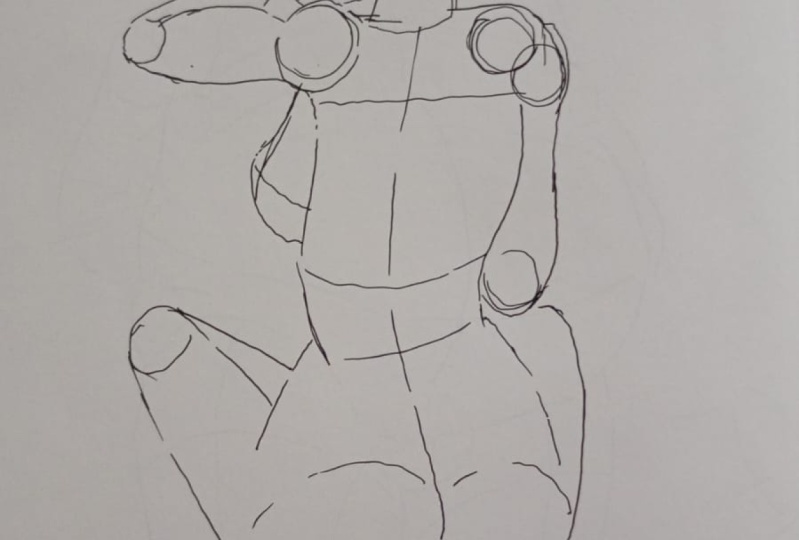 base anatomia